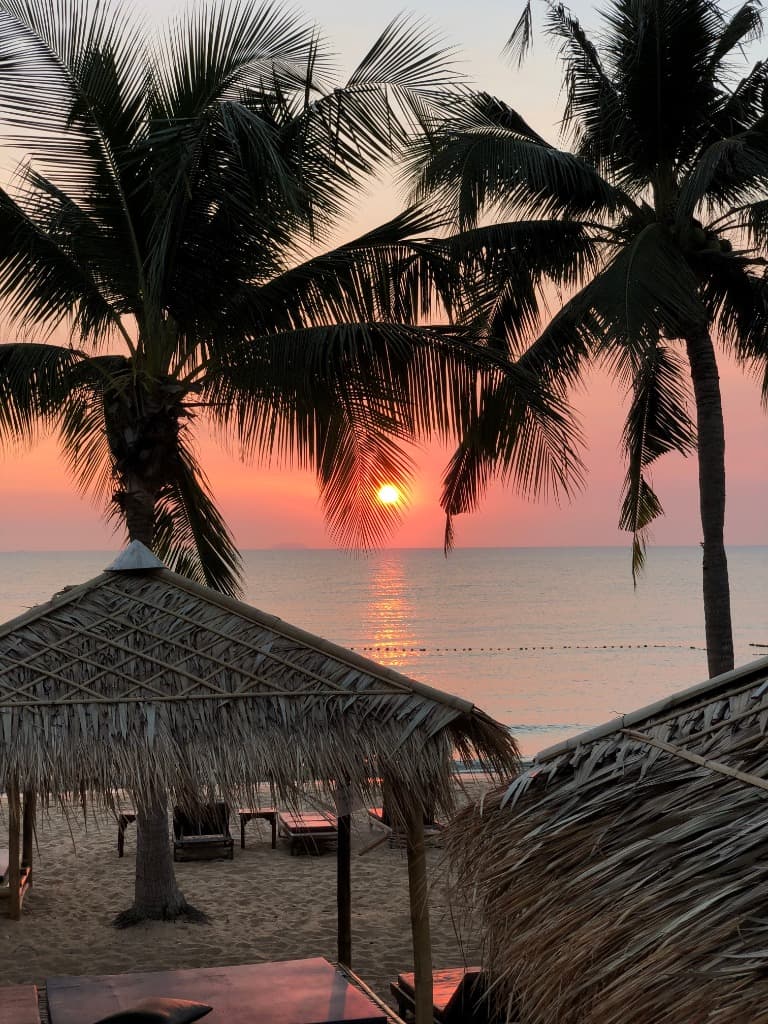 Palm trees framing a tropical sunset over the ocean